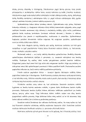 Finansinė atskaitomybė ir auditas 17 puslapis