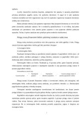 Finansinė atskaitomybė ir auditas 6 puslapis