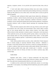 Finansinė atskaitomybė ir auditas 9 puslapis