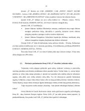 Finansinės galios įtakojančios tarptautinį verslą 14 puslapis