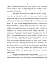 Finansinės galios įtakojančios tarptautinį verslą 17 puslapis