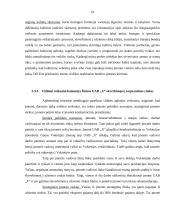 Finansinės galios įtakojančios tarptautinį verslą 19 puslapis