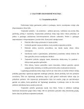 Finansinės galios įtakojančios tarptautinį verslą 3 puslapis