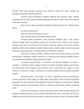 Finansinės galios įtakojančios tarptautinį verslą 7 puslapis