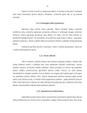 Finansinės galios įtakojančios tarptautinį verslą 10 puslapis