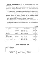 AB "Vilkyškių pieninė" finansinės veiklos analizė 13 puslapis