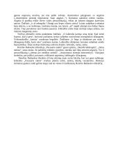 Henriko Radausko eilėraščio ,,Pavasario naktis“ interpretacija 2 puslapis