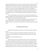 Finansiniai įsipareigojimai, jų registravimas bei tvarkymas 17 puslapis