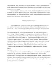 Finansiniai įsipareigojimai, jų registravimas bei tvarkymas 20 puslapis