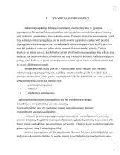 Finansiniai įsipareigojimai, jų registravimas bei tvarkymas 4 puslapis