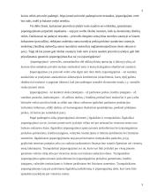 Finansiniai įsipareigojimai, jų registravimas bei tvarkymas 5 puslapis