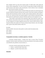 Finansinio turto apskaita ir auditas 16 puslapis