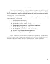 Finansinio turto apskaita ir auditas 3 puslapis