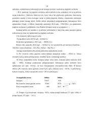 Finansinių ataskaitų rūšys: UAB "Andaja" 20 puslapis