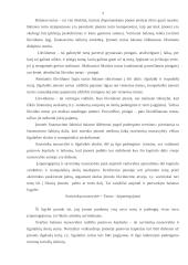 Finansinių ataskaitų rūšys: UAB "Andaja" 7 puslapis