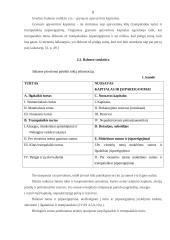 Finansinių ataskaitų rūšys: UAB "Andaja" 8 puslapis