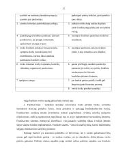 Franšizė ir jos taikymas Lietuvoje 12 puslapis