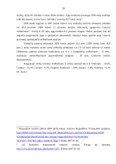 Franšizė ir jos taikymas Lietuvoje 20 puslapis