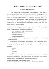 Franšizė ir jos taikymas Lietuvoje 4 puslapis