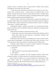 Franšizė ir jos taikymas Lietuvoje 6 puslapis