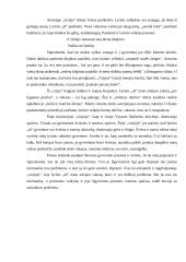 V. Mačernis "Ketvirtoji vizija" ir jos interpretavimas 2 puslapis