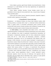 Garantijos darbuotojams pagal bendrijos teisę komandiruotiems į užsienį 4 puslapis