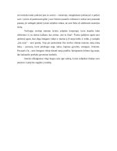 V. Mačernis "Rudens sonetai". 6 sonetas 2 puslapis