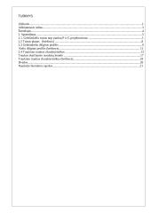 Geležinkelio inžinerija 2 puslapis