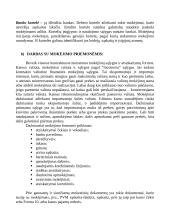 Apskaitos organizavimas 16 puslapis