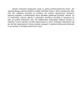 Apskaitos organizavimas 17 puslapis