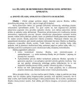 Apskaitos organizavimas 19 puslapis