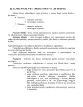 Apskaitos organizavimas 20 puslapis