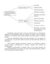 Apskaitos organizavimas 3 puslapis