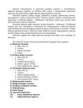 Apskaitos organizavimas 7 puslapis