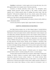 Daržovės ir jų nauda 13 puslapis