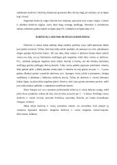 Daržovės ir jų nauda 14 puslapis
