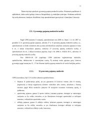 Gyventojų pajamų mokestis 13 puslapis