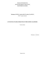 Gyventojų pajamų mokestis ir tobulinimo galimybės