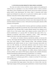 Gyventojų pajamų mokestis ir tobulinimo galimybės 19 puslapis