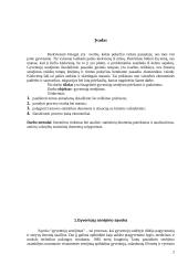 Gyventojų senėjimo procesas 2 puslapis