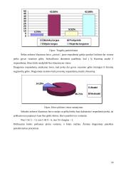 Gyvų vasarinių gėlių pasiūlos ir paklausos tyrimas 20 puslapis