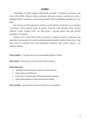 Gyvų vasarinių gėlių pasiūlos ir paklausos tyrimas 4 puslapis