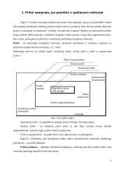 Gyvų vasarinių gėlių pasiūlos ir paklausos tyrimas 5 puslapis