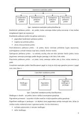 Gyvų vasarinių gėlių pasiūlos ir paklausos tyrimas 8 puslapis