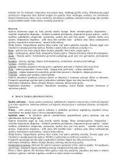 Spalvota fotografija 2 puslapis