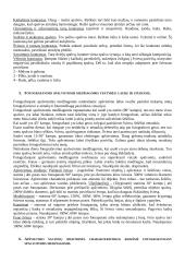 Spalvota fotografija 3 puslapis