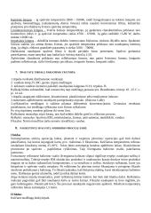 Spalvota fotografija 4 puslapis