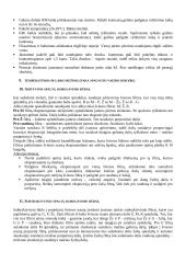 Spalvota fotografija 5 puslapis