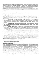 Spalvota fotografija 6 puslapis