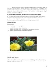 Gyvulių šėrimo normos 13 puslapis